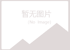 日照岚山初夏制造有限公司